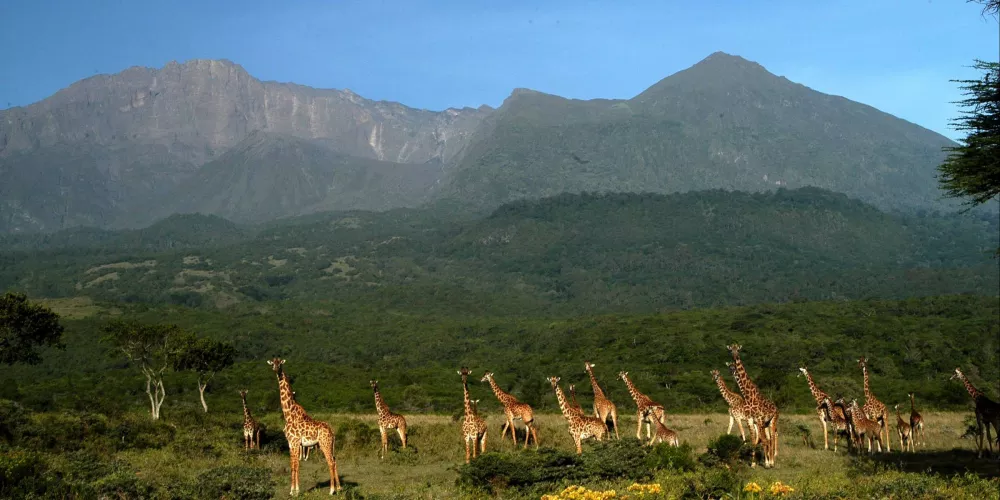 Tanzania Mountain