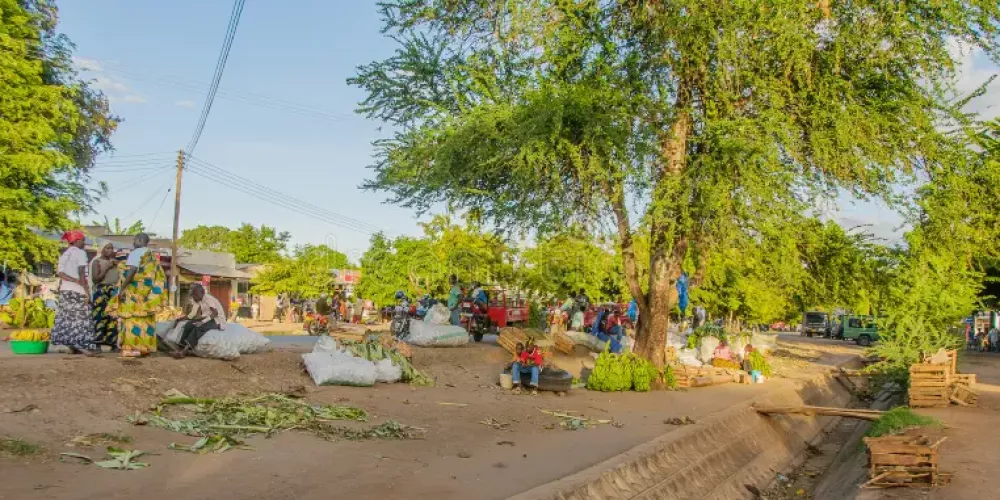 Mto wa mbu Village