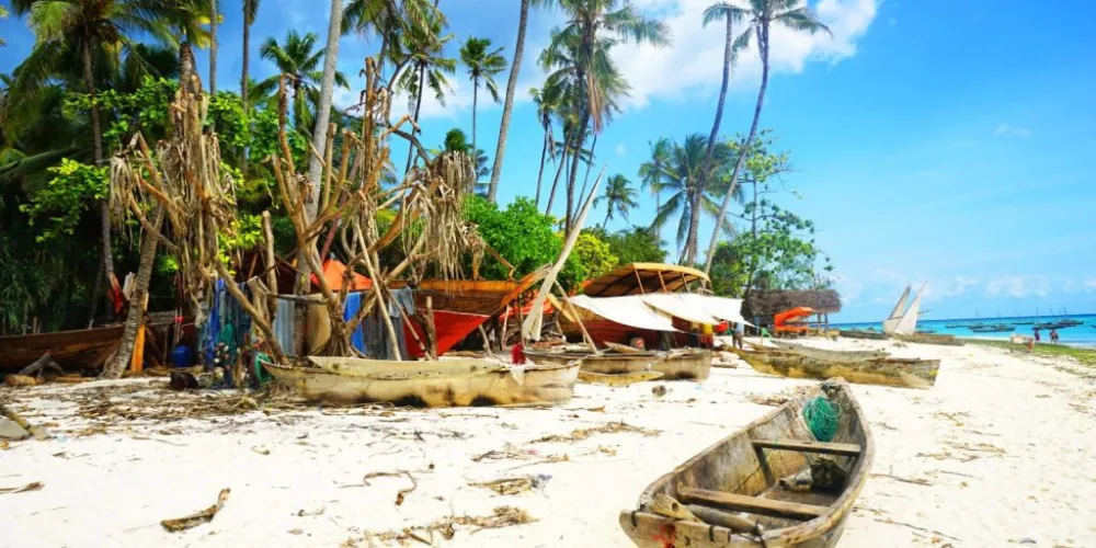 Zanzibar Safaris