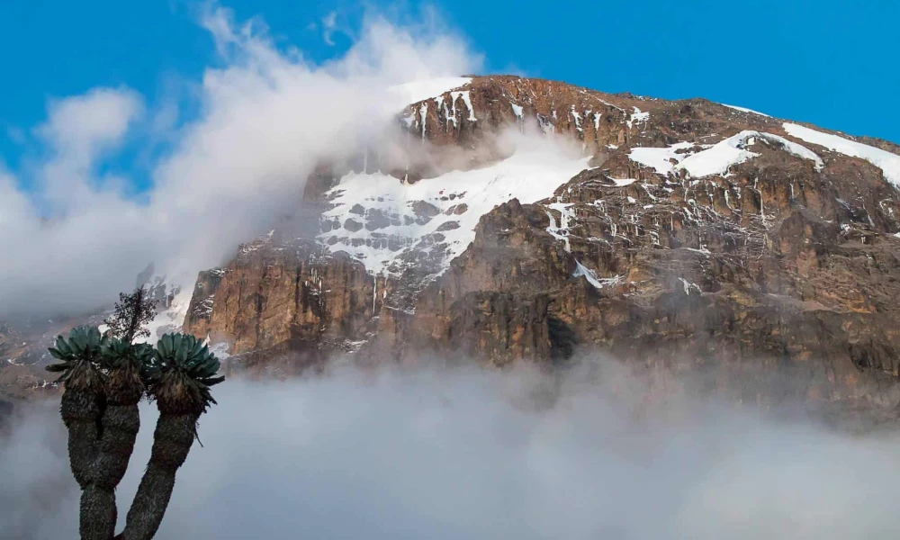 Climbing Mt Kilimanjaro