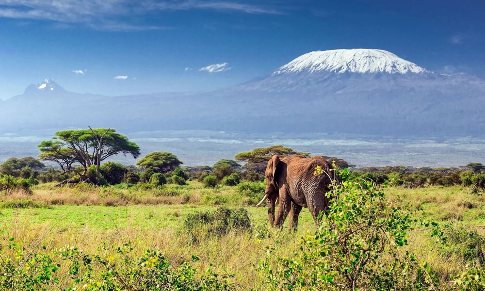 Climbing Mt Kilimanjaro