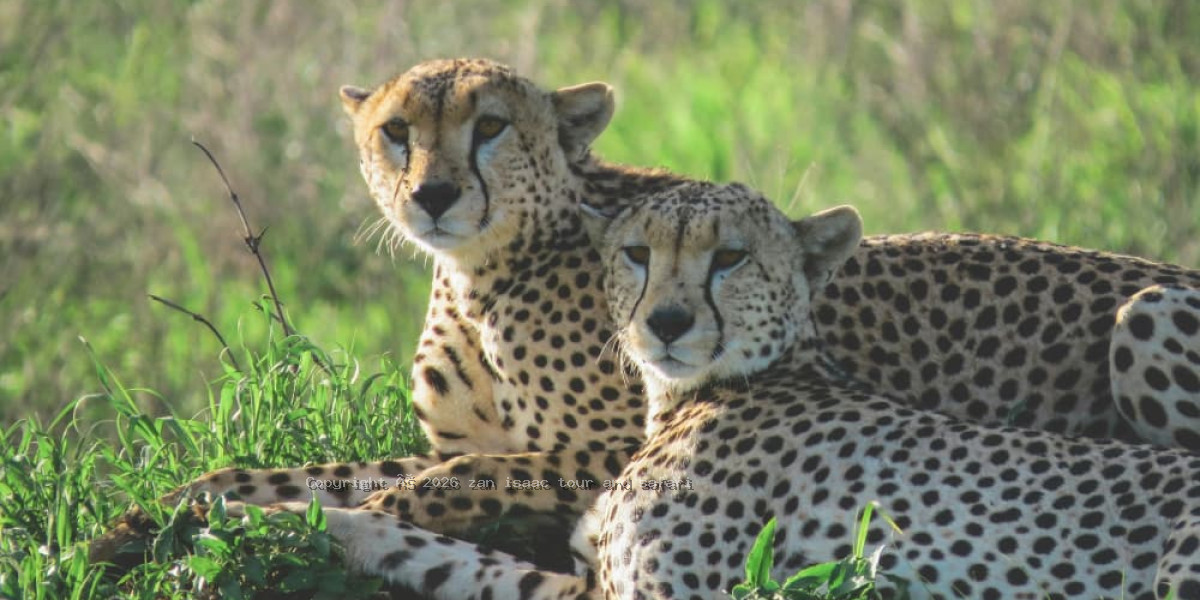 Serengeti National Park