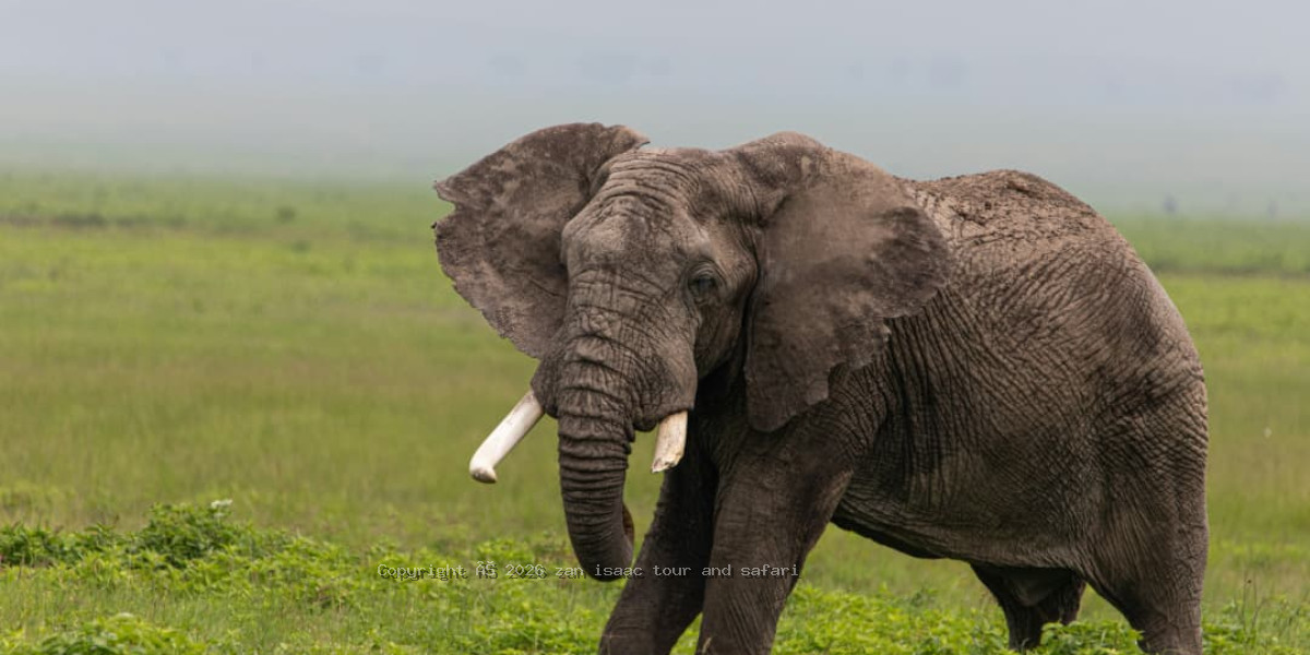Arusha National Park