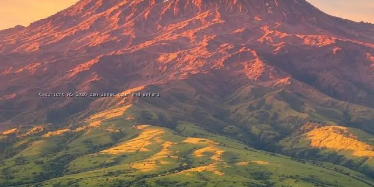 Mount Kilimanjaro National Park