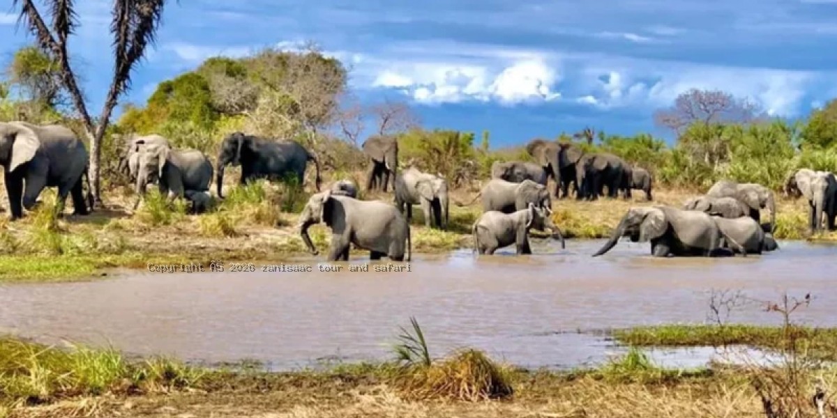 saadani national park