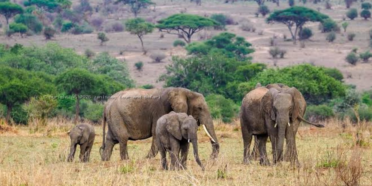 Tarangire National Park