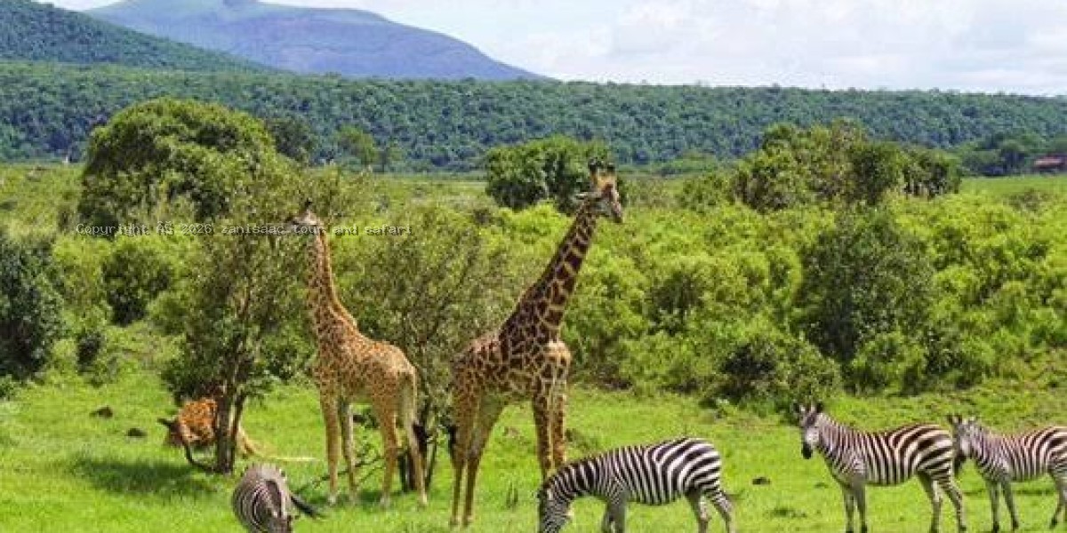 Arusha National Park
