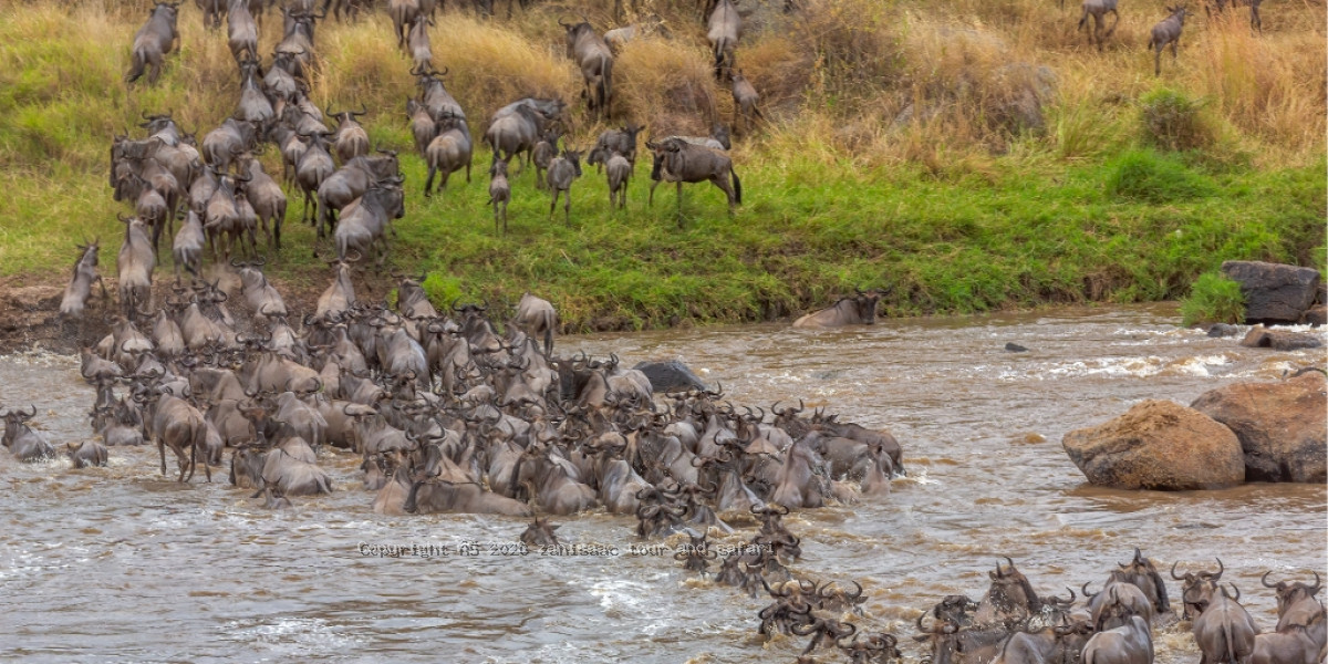 Serengeti National Park