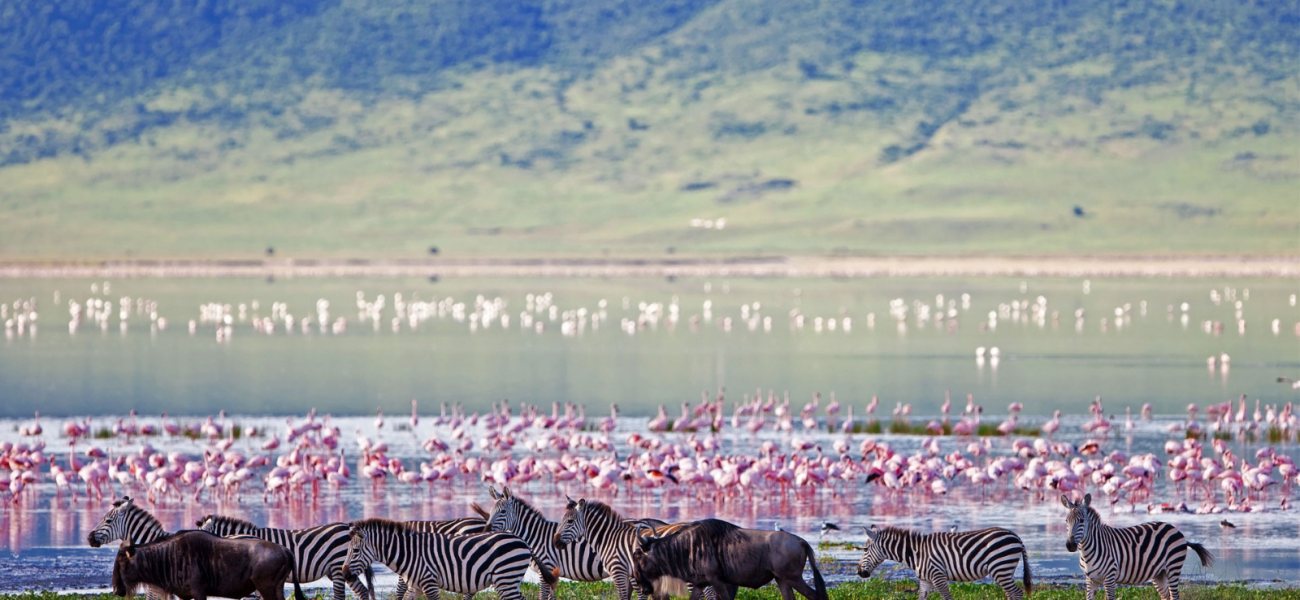 Lake Manyara National Park
