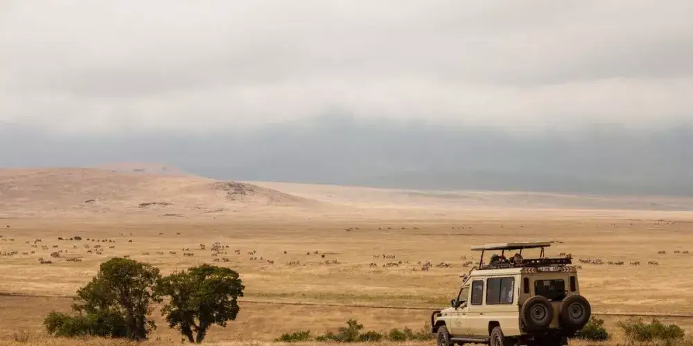 Which Parks are the Best for Tanzania Safari