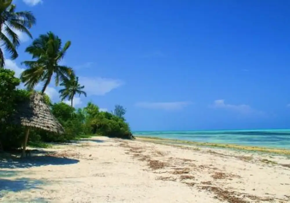 Jambiani Beach On East Coast Of Zanzibar.