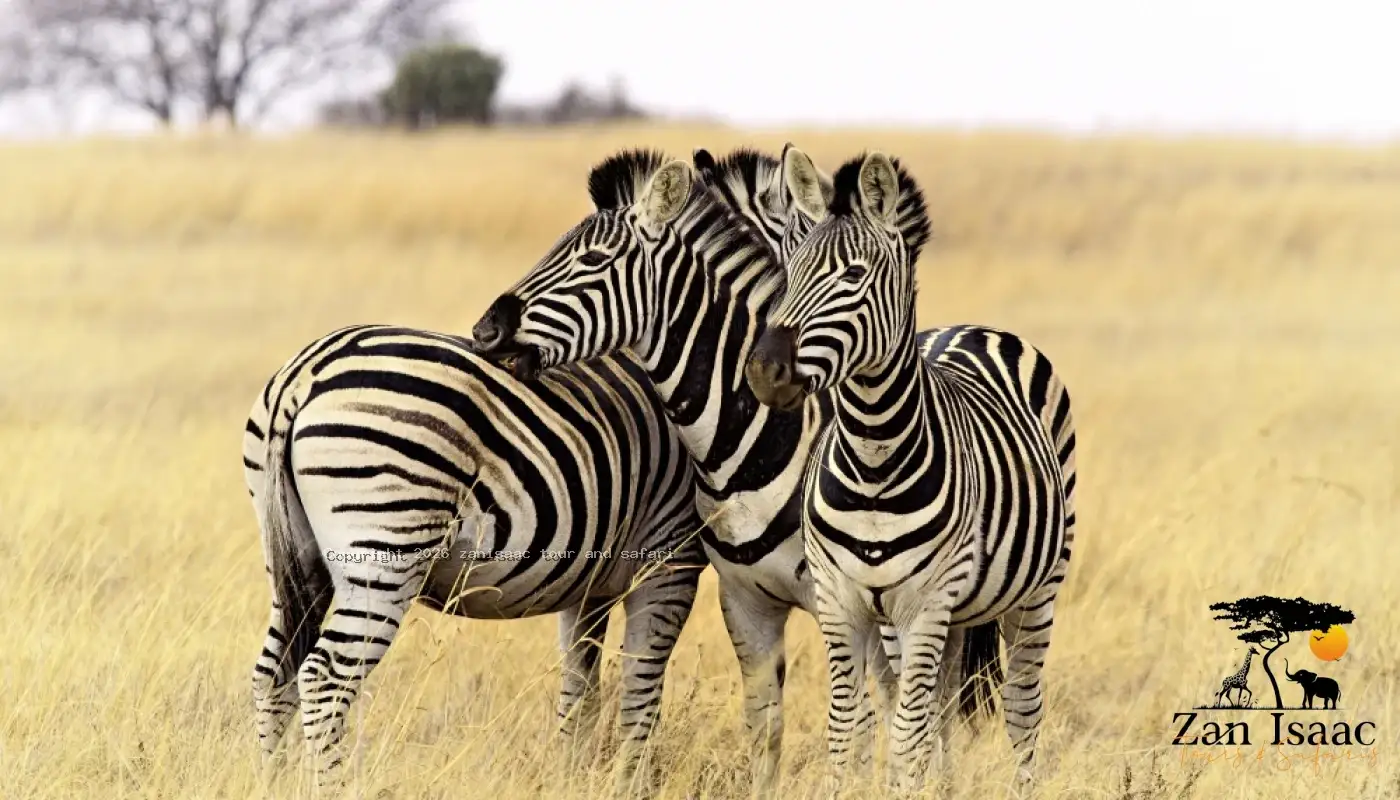 Lake Manyara National Park
