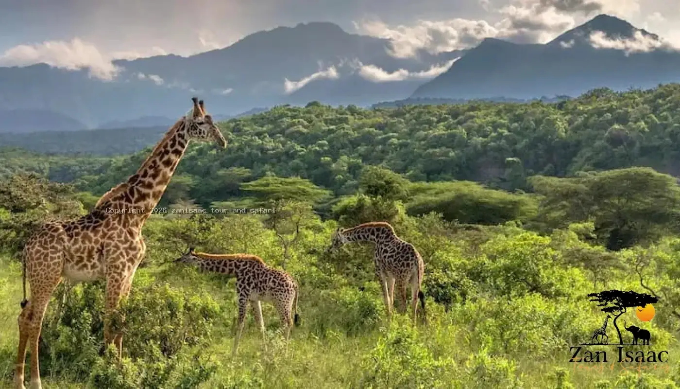 Arusha National Park