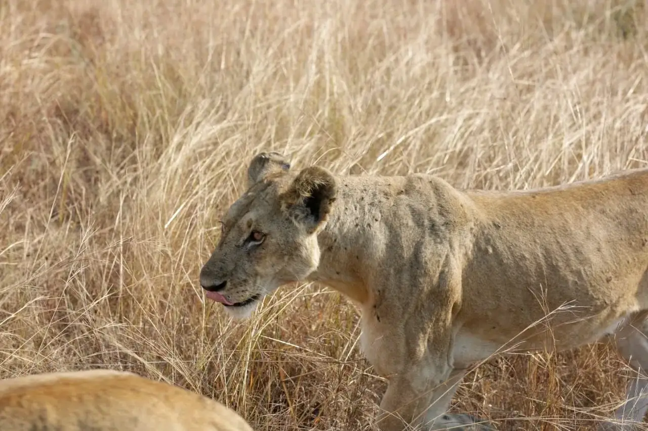 Tarangire National Park