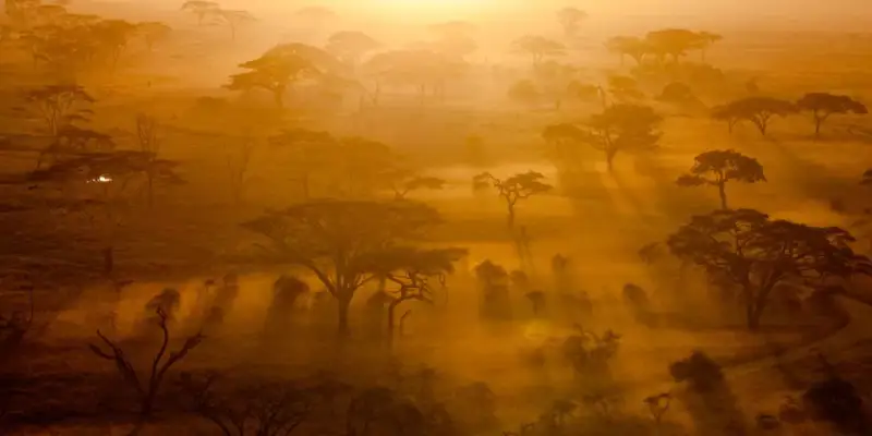 Tanzania Safaris