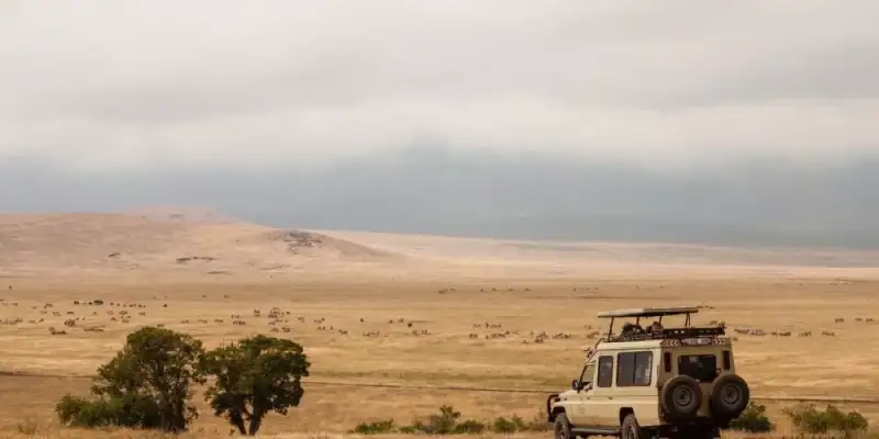 Which Parks are the Best for Tanzania Safari