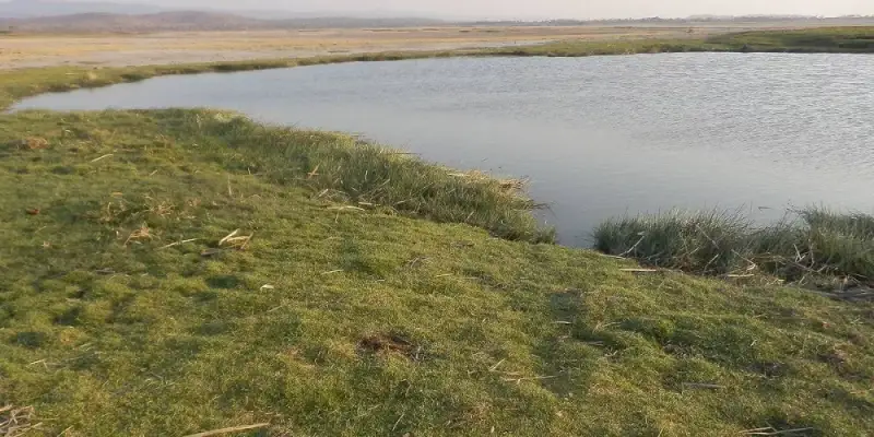 How and what is it in Lake Eyasi Tanzania