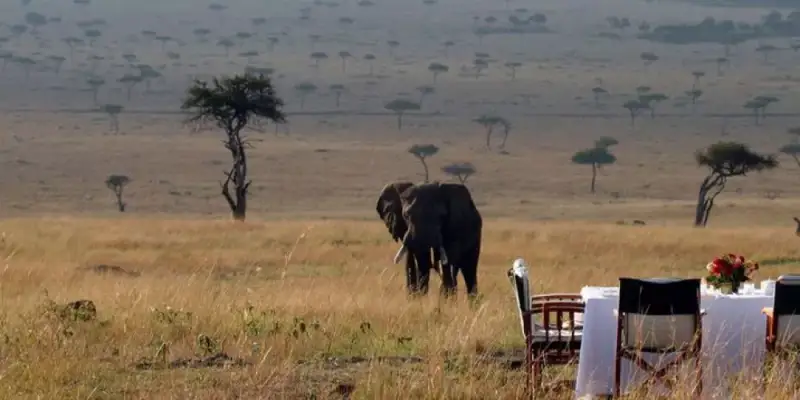 Tanzania Activities