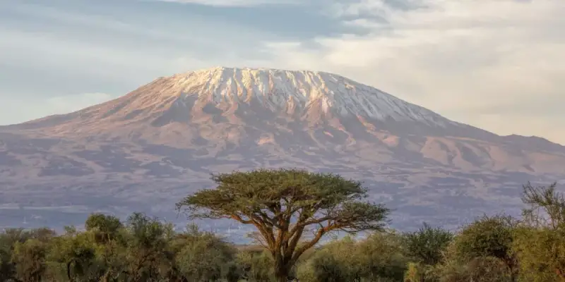 Trek safaris in Tanzania