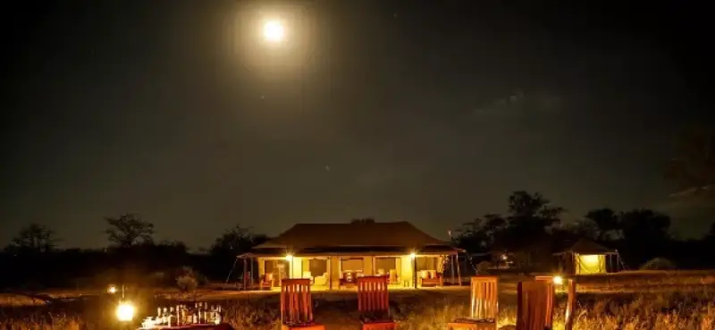 Into Wild Africa