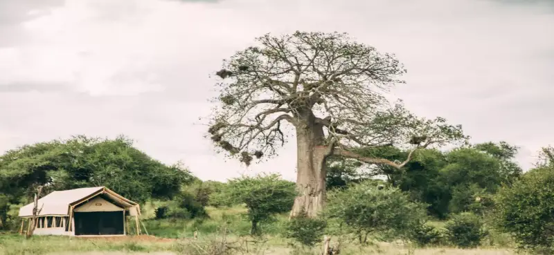 Tarangire Tortilis Camp