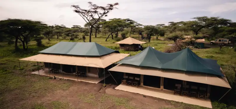 Acacia Migration Camp
