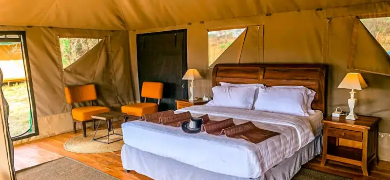 Tanzania Safaris