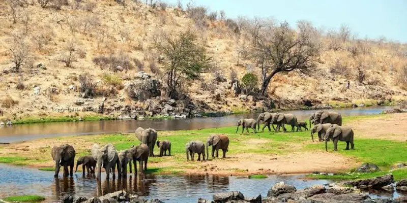 Ruaha National Park