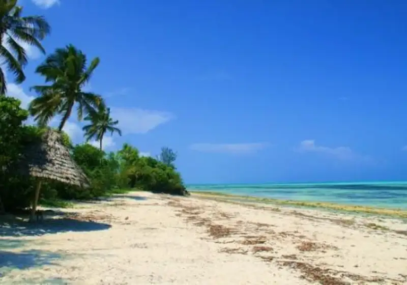 Jambiani Beach On East Coast Of Zanzibar.