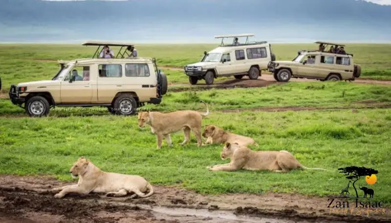 Tarangire National Park