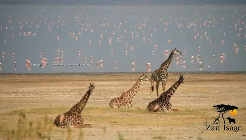 ngorongoro crater