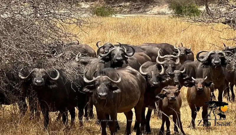 Arusha National Park
