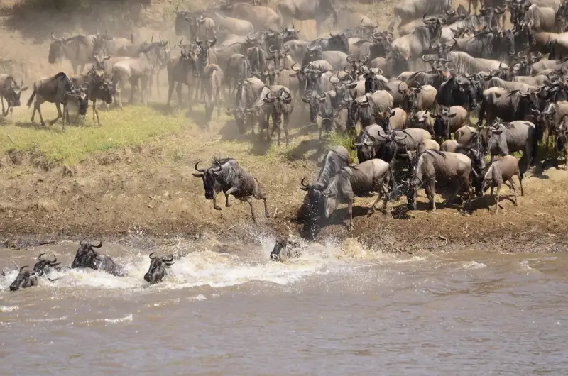 Serengeti National Park