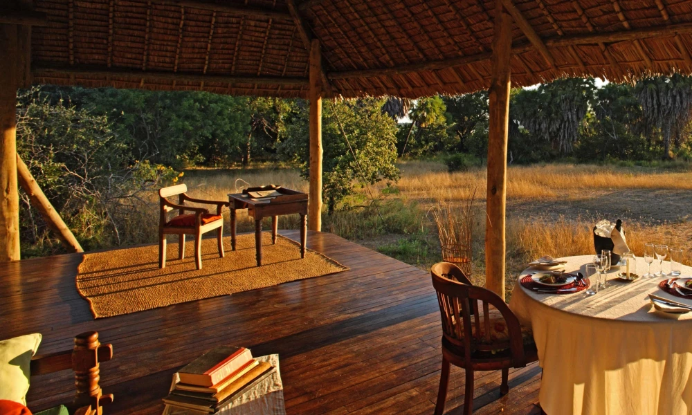 SAFARI EXCLUSIVE FOR NORTHERN CURCUIT