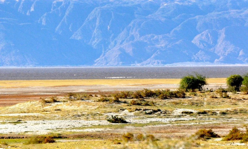 MIGRATION SAFARI WITNESSING THE GREAT WILDEBEEST MIGRATION