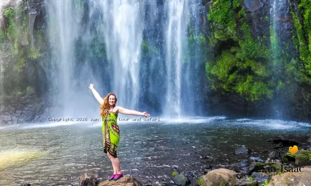 Materuni Waterfalls Trip