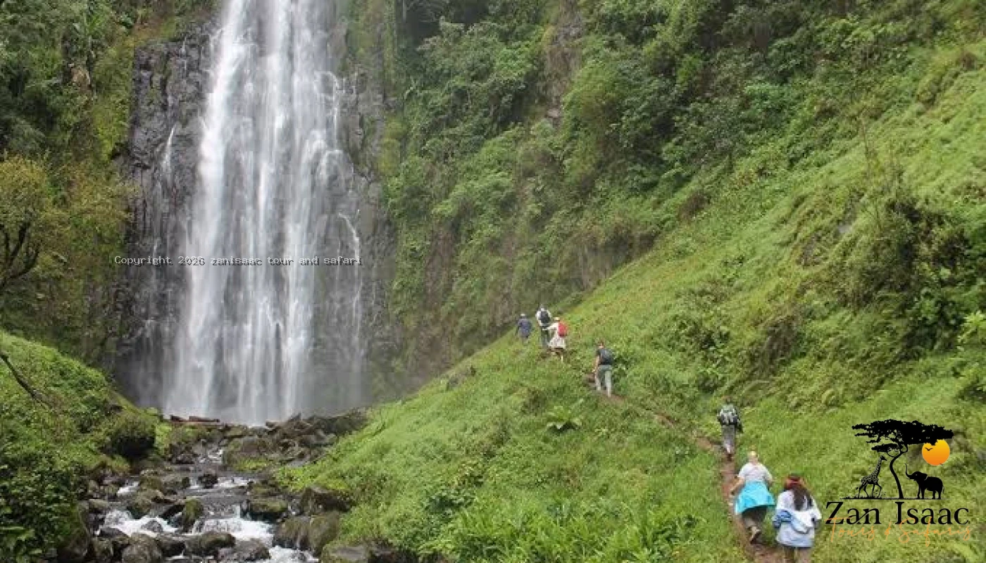Arusha National Park ,Materuni & Chemka Hot Springs