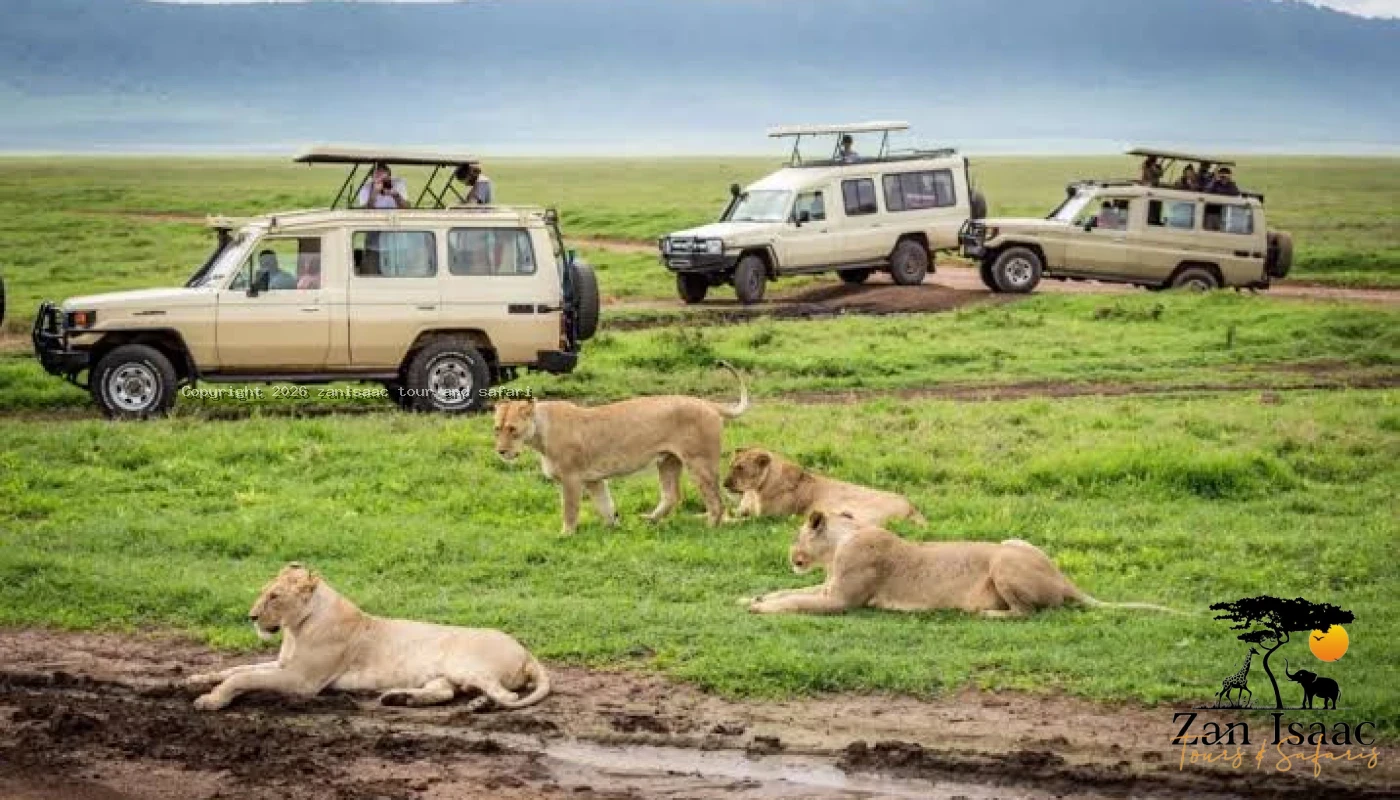 Family Northern Tanzania Circuit Safaris