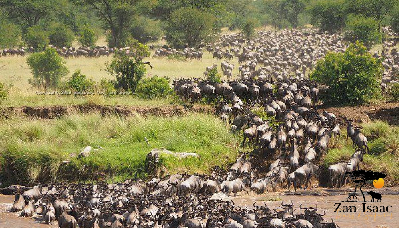 Great River Crossing & Big Five Safari