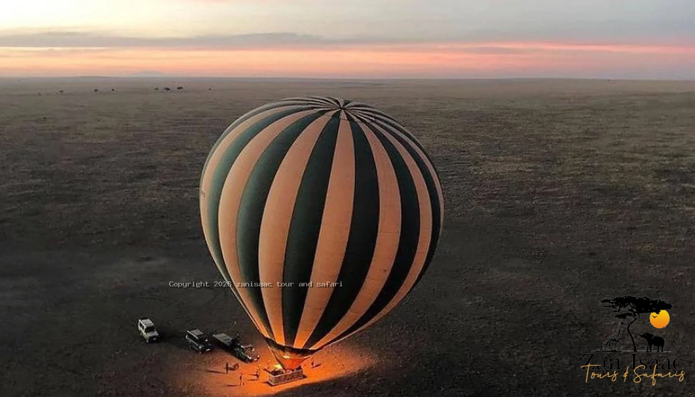 Midrange Big Five & Calving Season Migration Safari