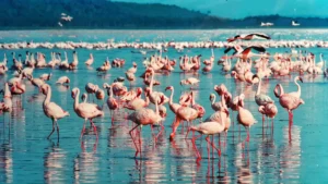 Lake Duluti & Village Walk Day Tour – Nature, Canoeing & Culture from Arusha